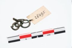Foto von Bronzering (NHMW-PRAE-026495)